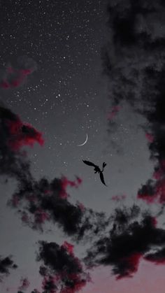 a bird flying in the night sky with stars and clouds above it, as seen from ground level