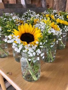 sunflowers and baby's breath are arranged in mason jars on a table