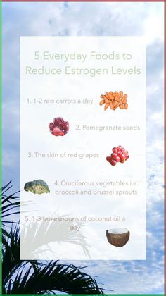 High estrogen levels in the body, or estrogen dominance, can cause issues like irregular & painful periods, uterine fibroids, decreased sex drive, bloating, weight gain and depression, etc. These foods can help detox the body from excess estrogen, but keep in mind to consume moderately to prevent having too little estrogen in the body which can cause further complications 殺 . . . #wombhealth #womb #hormones #hormonebalance #estrogen #herbalremedies #food #healthy #healthyfood #naturalremedy Low Estrogen Foods Diet, Lower Estrogen Levels Natural, Foods To Help Lower Estrogen, Foods That Lower Estrogen Levels, Estrogen Lowering Foods, Lower Estrogen Diet, Lowering Estrogen Naturally, Foods To Decrease Estrogen, High Estrogen Diet