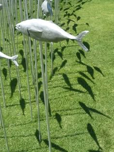 several sculptures of fish are lined up in the grass