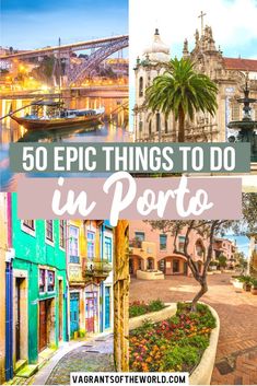 the top 50 things to do in puerto