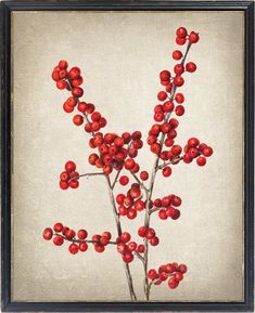 a painting of red berries on a branch