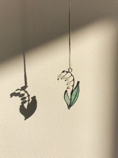 the shadow of two hanging plants on a wall