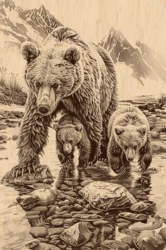 a drawing of two bears and their cubs drinking water from a stream with mountains in the background