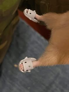 a close up of a person's foot with sandals on and an animal in the background