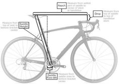 an image of a bicycle with parts labeled in the text below it, including seatposts and headlight