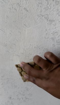 a hand holding something in front of a white wall