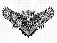 an owl with intricate designs on it's wings is shown in black and white