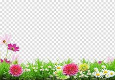 flowers in the grass with white and pink daisies on them, against a transparent background