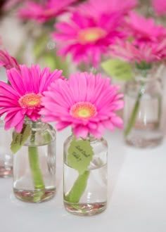 pink flowers are in small glass vases on a white tablecloth with writing on them