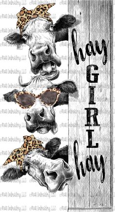 a cow with sunglasses and leopard print on it's face is peeking out from behind a sign that says, happy girl day