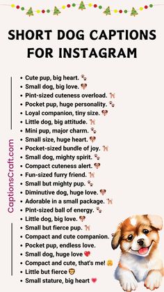 a poster with the words short dog captions for instagramm and an image of a puppy