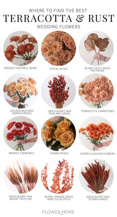 flowers and their names are shown in this graphic guide for the brides to be