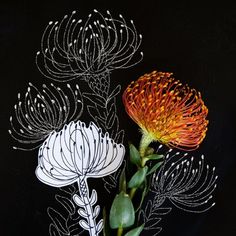 an orange and white flower on a black background