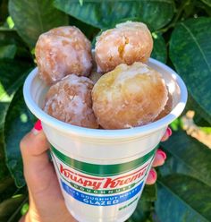 a person holding up a cup filled with doughnuts on top of green leaves