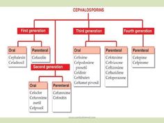 a family tree is shown in red and white