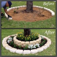 the before and after photo shows how to make a flower bed around a tree