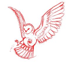 a drawing of an owl flying with its wings spread