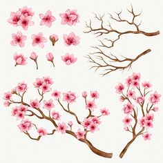 pink flowers and branches on a white background