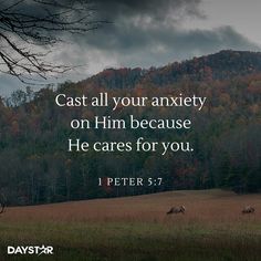 Cast all your anxiety on him because he cares for you. -1 Peter 5:7 [Daystar.com] Bible Quote Tattoos, Small Inspirational Tattoos, Promise Keeper, Small Quote Tattoos, Quotes About Everything, Memorable Quotes, 1 Peter, Amazing Grace, Verse Quotes