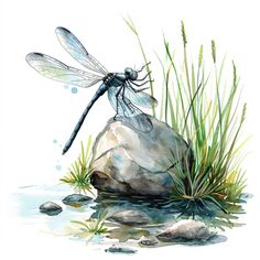 a watercolor painting of a dragonfly sitting on top of a rock in the grass