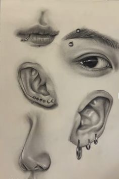 a pencil drawing of different parts of the face, nose and ear with piercings