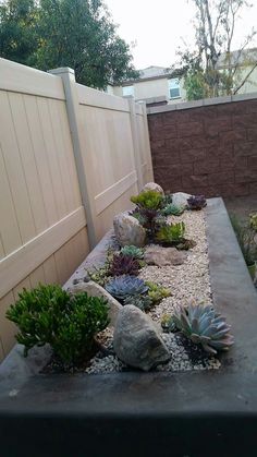 an outdoor garden with rocks and succulents in the center, along side a fence