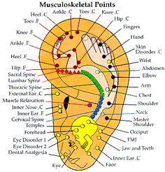 Acupressure Chart, Acupuncture Charts, Face Mapping