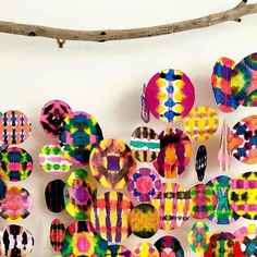 a group of colorful plates hanging on a wall next to a stick and twig