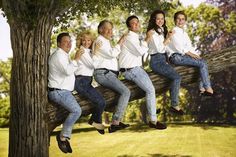 a group of people sitting on top of a tree