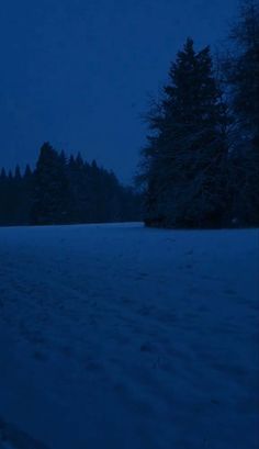 a snow covered field at night with trees in the background