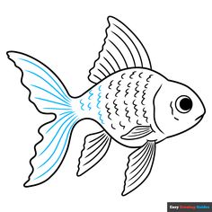 a drawing of a goldfish with blue lines on it's body and head