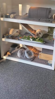 some animals are eating food out of bowls on the shelf in front of their kennel