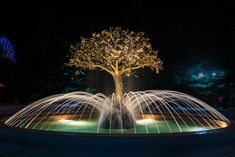 an illuminated fountain in the middle of a park at night with a tree on top