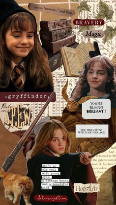 a collage of harry potter and hermione's hogwarts characters