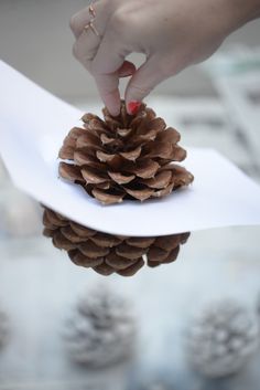 a pine cone being held on top of a napkin