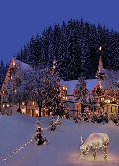 a large house with christmas lights in the front yard and trees on the other side