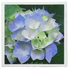 a blue and white flower with green leaves