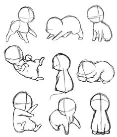 some drawings of different shapes and sizes of animals in various positions, including the head