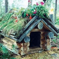 a log house with plants growing out of it