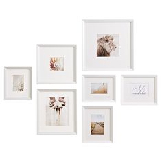 six white framed pictures hanging on the wall