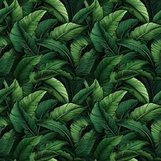 a green leafy background with lots of leaves