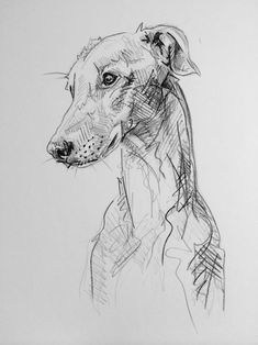 a black and white drawing of a dog