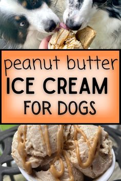 two dogs eating ice cream from a bowl with the caption peanut butter ice cream for dogs