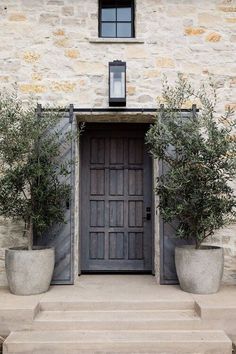 two large planters with olive trees in front of a stone building door and steps