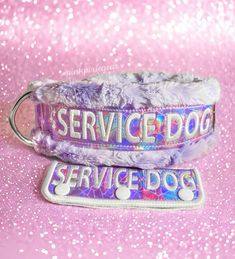 the service dog collar is purple and has silver sequins on it's side