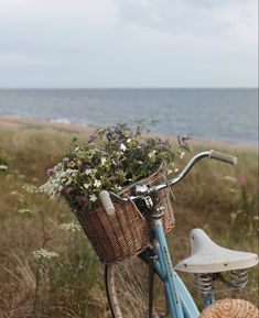 a bicycle with flowers in the basket parked on the side of the road by the beach