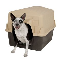 Petmate Aspen Pet Petbarn Dog House Snow and Rain Diverting Roof Raised Floor No-Tool House Medium, Plastic Dog House, Outdoor Dog House, Outdoor Cat House, Wood Dog, Dog Diapers, Dog Safety, 50 Pounds, Outdoor Cats