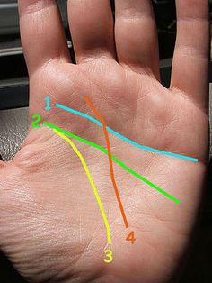 Palm Lines, Palm Of Your Hand, Reflexology, Acupuncture, Body Fat, Things To Know, Home Remedies, Helpful Hints