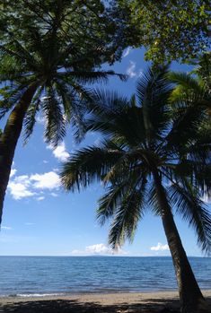 two palm trees on the beach under a blue sky with clouds and water in the background